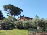 Particella, MARINO, 999.000 €, 600,00 mq