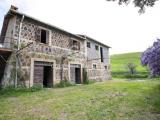 Superfici commerciali, TUSCANIA, 215.000 €, 245,00 mq