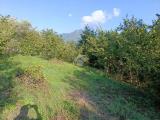 Particella, SERINO, 13.000 €, 1900,00 mq