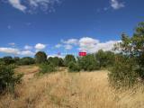 Particella, MARTINA FRANCA, 55.000 €, 16000,00 mq