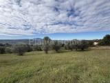 Particella, AMELIA, 130.000 €, 12000,00 mq