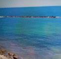 Affitto, Appartamento, TRANI, 600 €, 85,00 mq