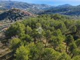 Particella, CIPRESSA, 85.000 €, 2151,00 mq