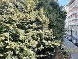 Appartamento, MILANO, 780.000 €, 160,00 mq