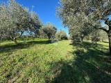 Particella, SAN CESAREO, 40.000 €, 4470,00 mq