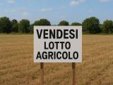 Particella, CAZZAGO SAN MARTINO, 85.000 €, 5840,00 mq