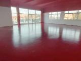 Affitto, Superfici commerciali, CESENA, <i>A richiesta</i>, 331,00 mq