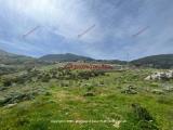 Particella, MONREALE, 569.000 €