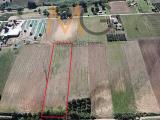 Particella, PETACCIATO, 15.000 €, 8830,00 mq