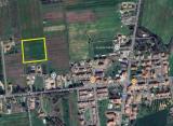 Particella, LATINA, 25.000 €, 10000,00 mq