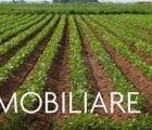 Particella, SAN GIULIANO TERME, 50.000 €, 10000,00 mq