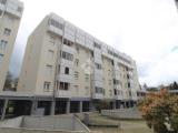 Appartamento, REGGIO NELL