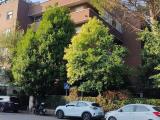Appartamento, CASALECCHIO DI RENO, 320.000 €, 110,00 mq