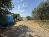 Particella, MONTEROTONDO, 55.000 €, 5090,00 mq