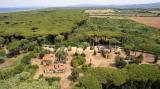 Particella, CASTAGNETO CARDUCCI, Bolgheri, 3.950.000 €, 2300,00 mq
