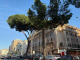 Appartamento, ROMA, Appia Nuova, 309.000 €, 70,00 mq