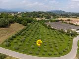 Particella, FONTE, 160.000 €, 10023,00 mq