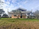 Particella, ALTAMURA, 100.000 €, 195,00 mq
