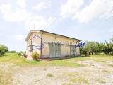 Particella, CASCINA, 131.000 €, 1000,00 mq