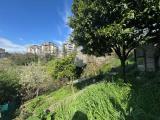 Particella, MONTEROTONDO, 25.000 €, 310,00 mq