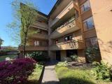 Appartamento, MONZA, 150.000 €, 89,00 mq