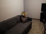 Affitto, Appartamento, PRATO, 500 €, 35,00 mq