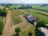 Particella, SELVAZZANO DENTRO, 130.000 €, 5237,00 mq