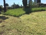 Particella, ROMA, 400.000 €, 13000,00 mq