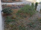 Particella, LICATA, 30.000 €, 170,00 mq