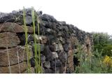 Particella, PANTELLERIA, 125.000 €, 5400,00 mq