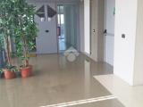 Superfici commerciali, TREVISO, 340.000 €, 240,00 mq