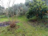 Particella, LIVORNO, 79.000 €, 1800,00 mq