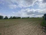 Particella, POLVERARA, 100.000 €, 5900,00 mq
