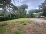 Particella, MASSA, 120.000 €, 2380,00 mq