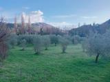 Particella, SPOLETO, 20.000 €, 10000,00 mq