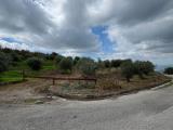 Particella, DOMICELLA, 30.000 €, 3600,00 mq