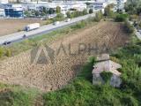 Particella, BELLARIA-IGEA MARINA, 149.000 €, 5000,00 mq