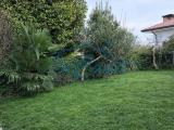 Appartamento, CASALE SUL SILE, 228.000 €, 100,00 mq