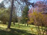 Casa, BORGO SAN LORENZO, 1.000.000 €, 400,00 mq