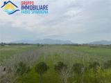 Particella, CELLOLE, 30.000 €, 5000,00 mq