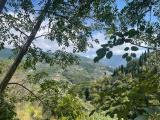 Particella, RECCO, 35.000 €, 7000,00 mq