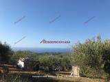 Particella, ALTAVILLA MILICIA, 40.000 €, 6000,00 mq