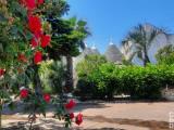 Casa, CISTERNINO, 370.000 €, 193,00 mq