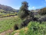 Particella, CALTAGIRONE, 15.000 €, 6270,00 mq