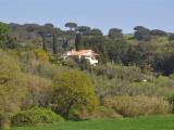 Casa, ROSIGNANO MARITTIMO, 750.000 €, 200,00 mq