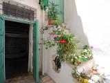 Affitto, Appartamento, MARTINA FRANCA, 400 €, 20,00 mq