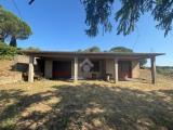 Casa, MORLUPO, 299.000 €, 200,00 mq