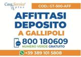 Affitto, Casa, GALLIPOLI, 500 €, 170,00 mq