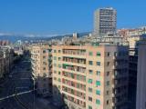 Affitto, Appartamento, GENOVA, 700 €, 54,00 mq