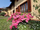 Casa, LAZZATE, 335.000 €, 171,00 mq